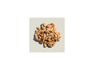 Harvest B - Chicken Style Strips Rehydratable Plant Protein 20kg - (Bulk Bag Ambient 7kg Dry)