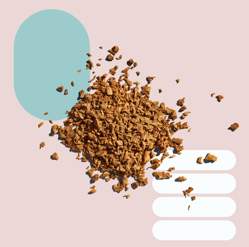Harvest B wholesale vegan protein product range